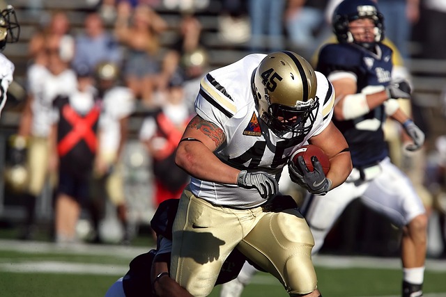 他同样有着 他同样有着