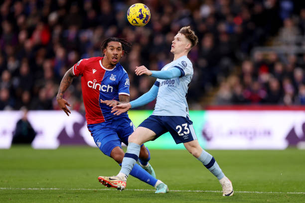 從近一年的 從近一年的